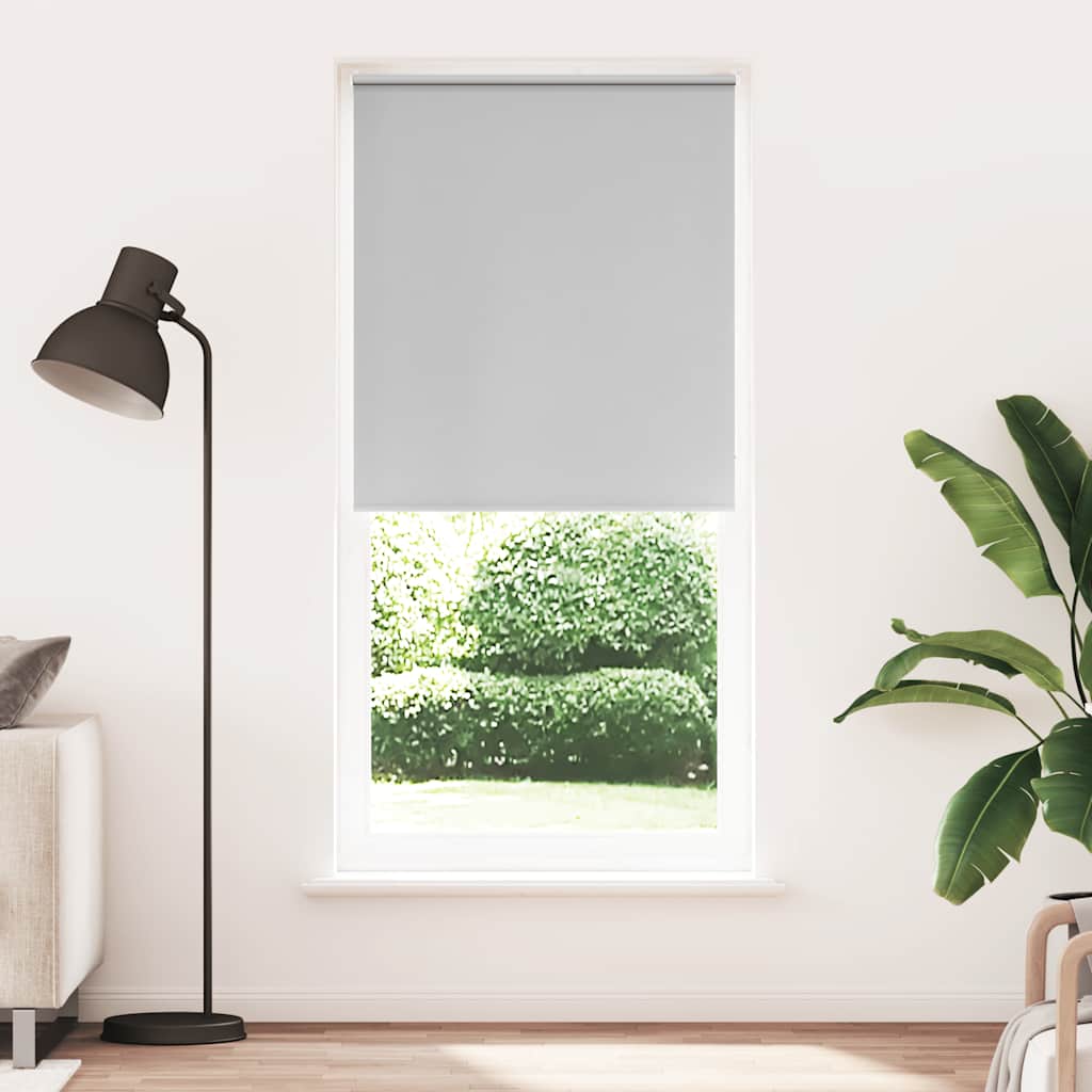 Jaluzea rulabilă opacă, 100 x 230 cm, gri Jaluzea rulabilă opacă, 100 x 230 cm, gri