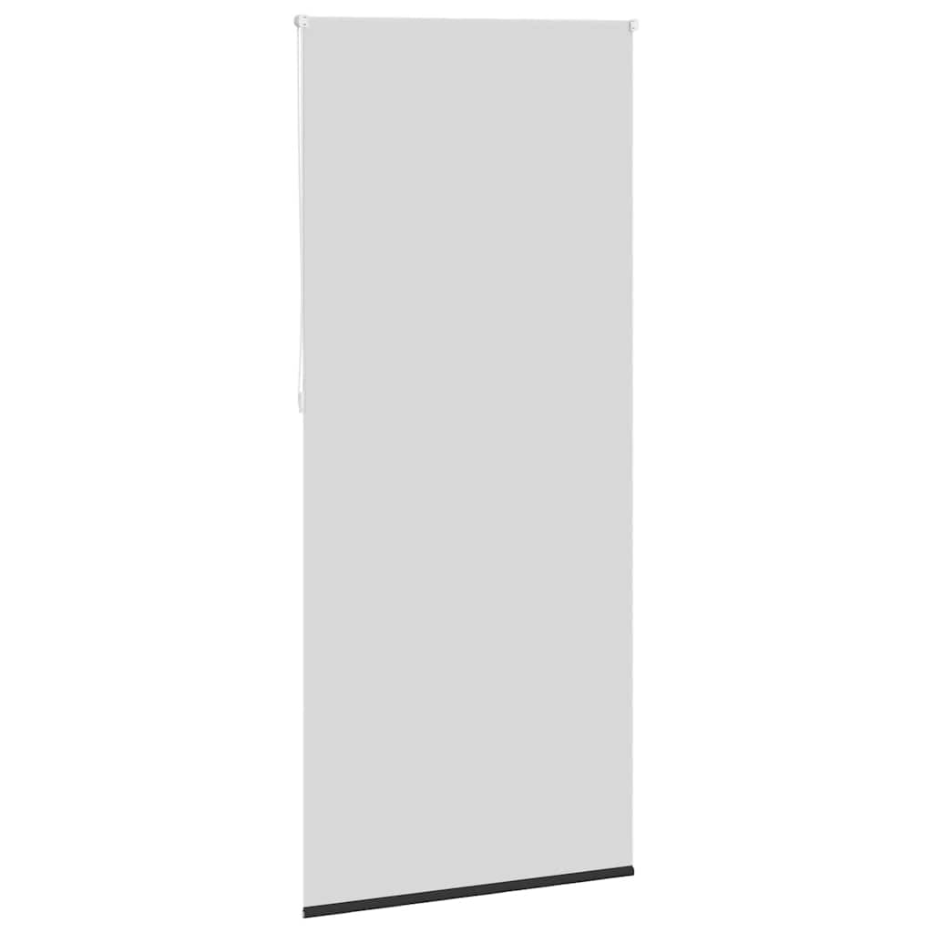 Jaluzea opacă rulabilă, 120 x 230 cm, negru Jaluzea opacă rulabilă, 120 x 230 cm, negru