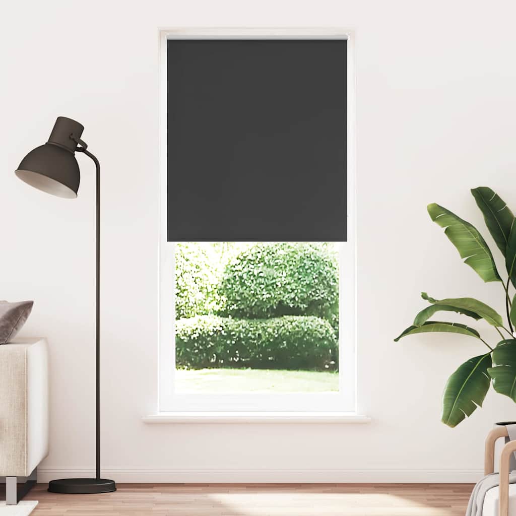 Jaluzea opacă rulabilă, 120 x 230 cm, negru Jaluzea opacă rulabilă, 120 x 230 cm, negru