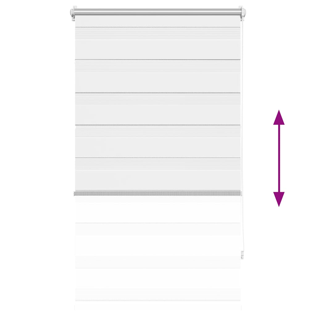 Jaluzea tip zebra, 70 x 120 cm, alb Jaluzea tip zebra, 70 x 120 cm, alb