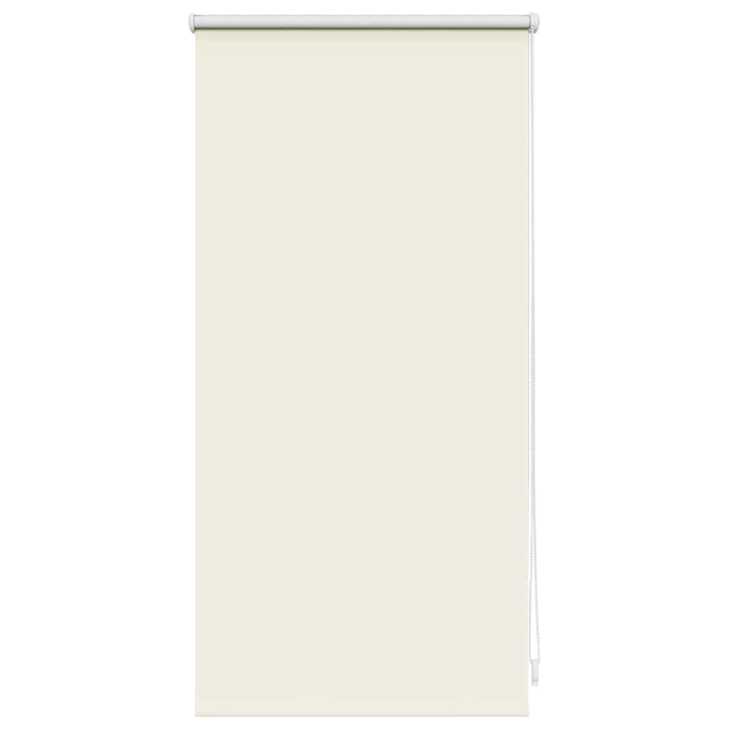 Jaluzea opacă rulabilă, 40 x 100 cm, bej Jaluzea opacă rulabilă, 40 x 100 cm, bej