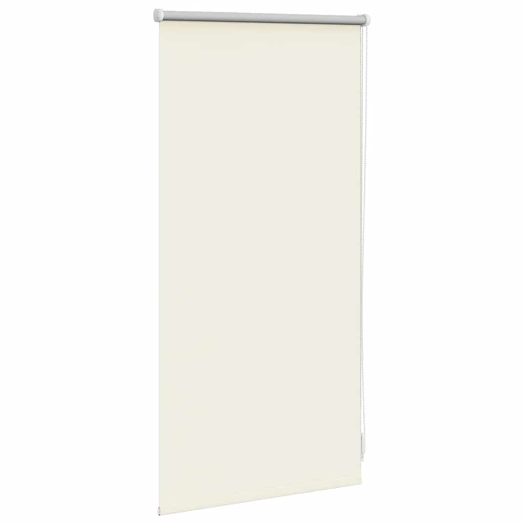 Jaluzea opacă rulabilă, 40 x 100 cm, bej Jaluzea opacă rulabilă, 40 x 100 cm, bej