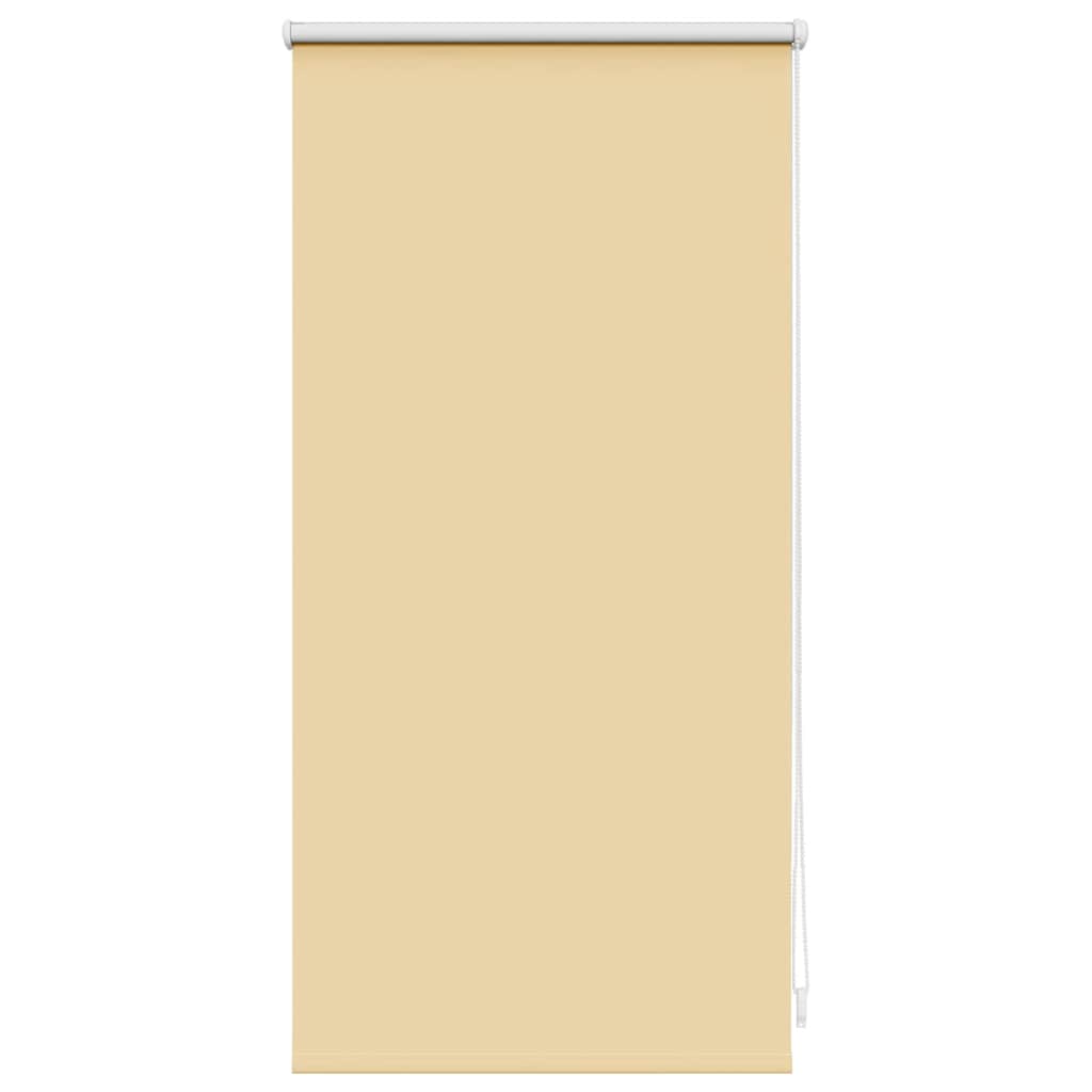 Jaluzea opacă rulabilă, 40 x 100 cm, cafeniu Jaluzea opacă rulabilă, 40 x 100 cm, cafeniu