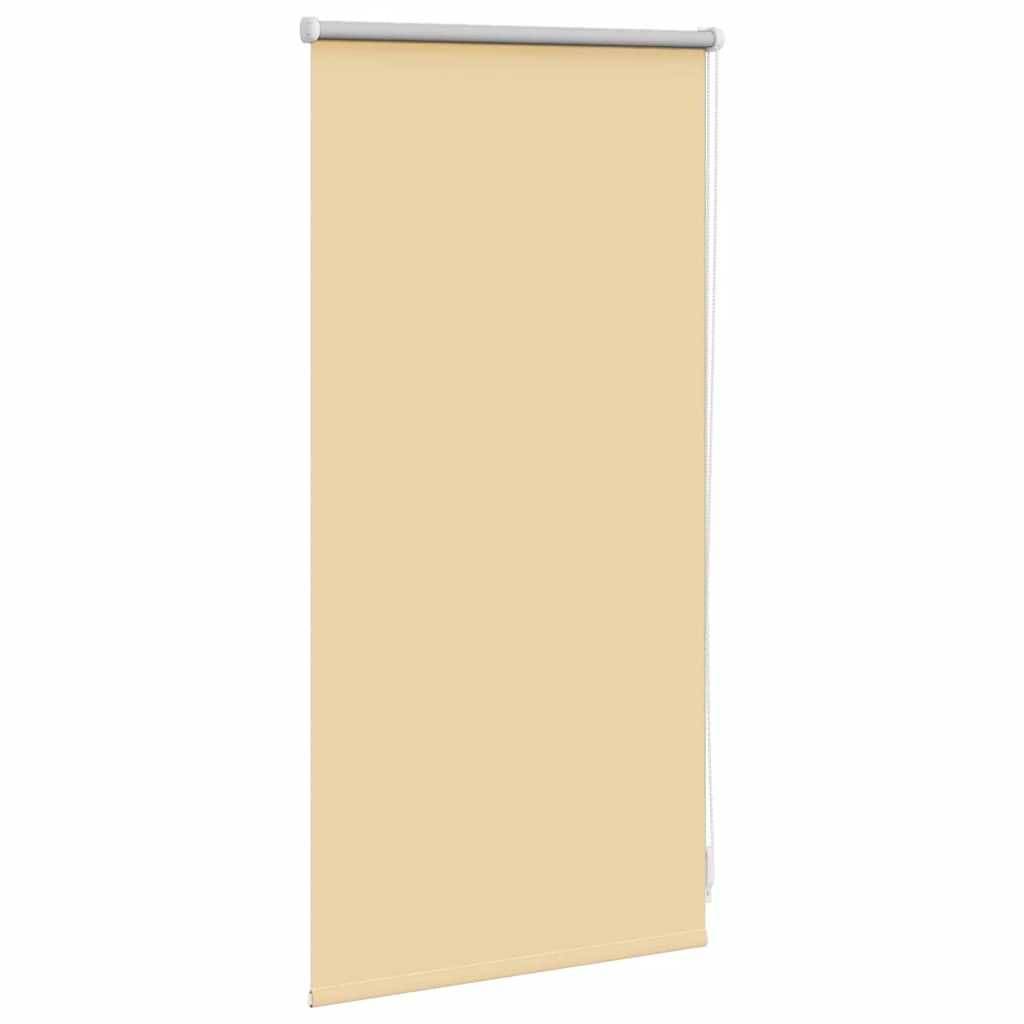 Jaluzea opacă rulabilă, 40 x 100 cm, cafeniu Jaluzea opacă rulabilă, 40 x 100 cm, cafeniu