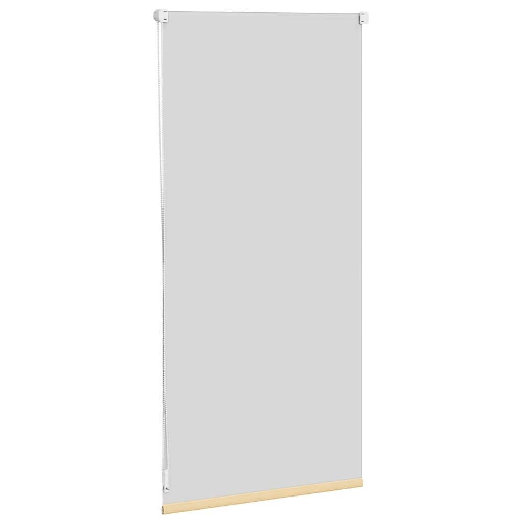 Jaluzea opacă rulabilă, 40 x 100 cm, cafeniu Jaluzea opacă rulabilă, 40 x 100 cm, cafeniu