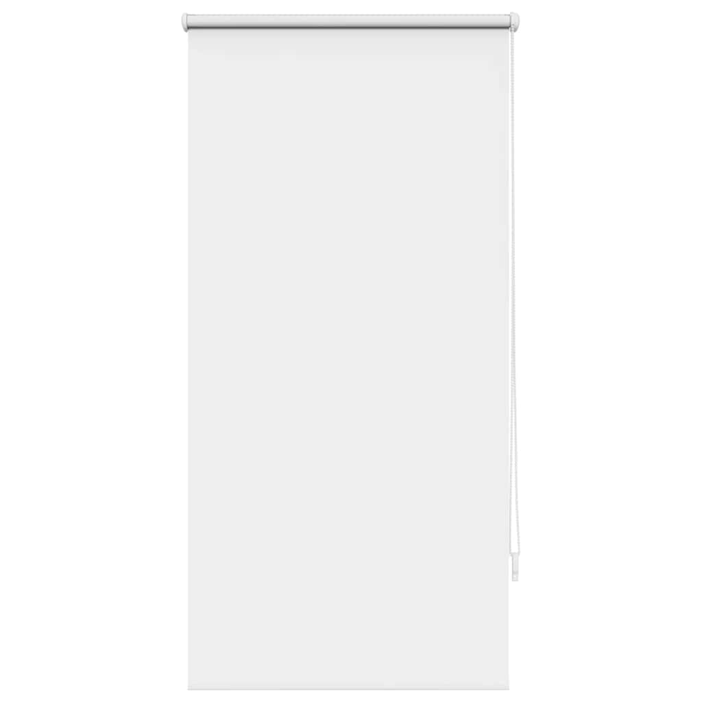 Jaluzea opacă rulabilă, 60 x 120 cm, alb Jaluzea opacă rulabilă, 60 x 120 cm, alb