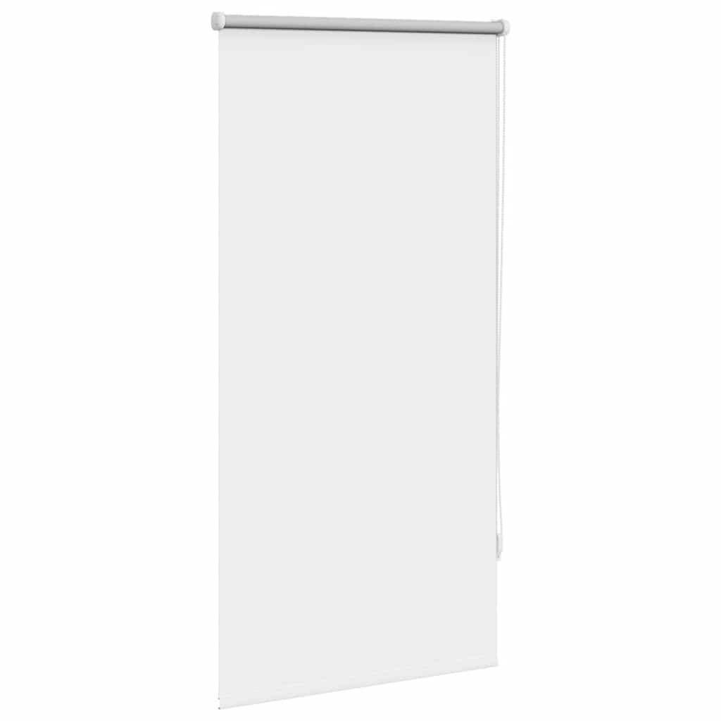 Jaluzea opacă rulabilă, 60 x 120 cm, alb Jaluzea opacă rulabilă, 60 x 120 cm, alb