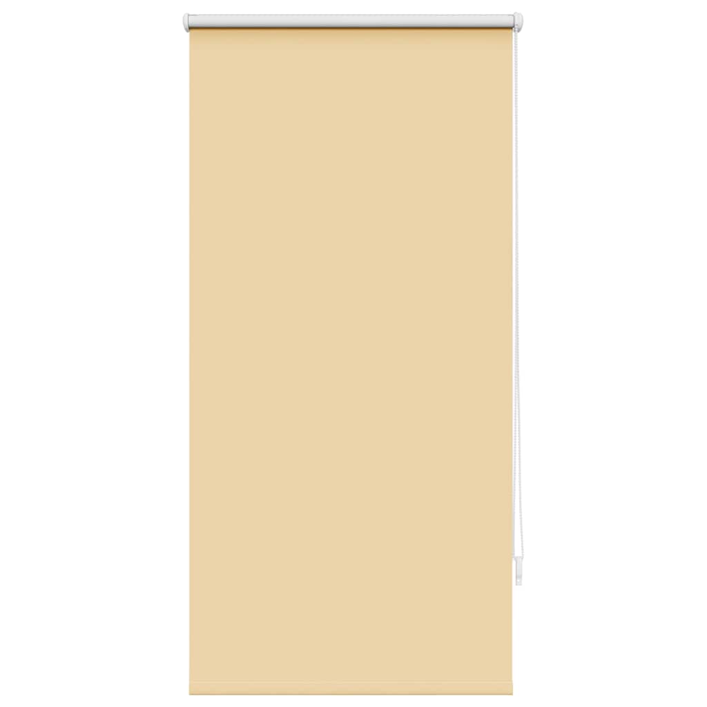 Jaluzea opacă rulabilă, 60 x 120 cm, bej Jaluzea opacă rulabilă, 60 x 120 cm, bej