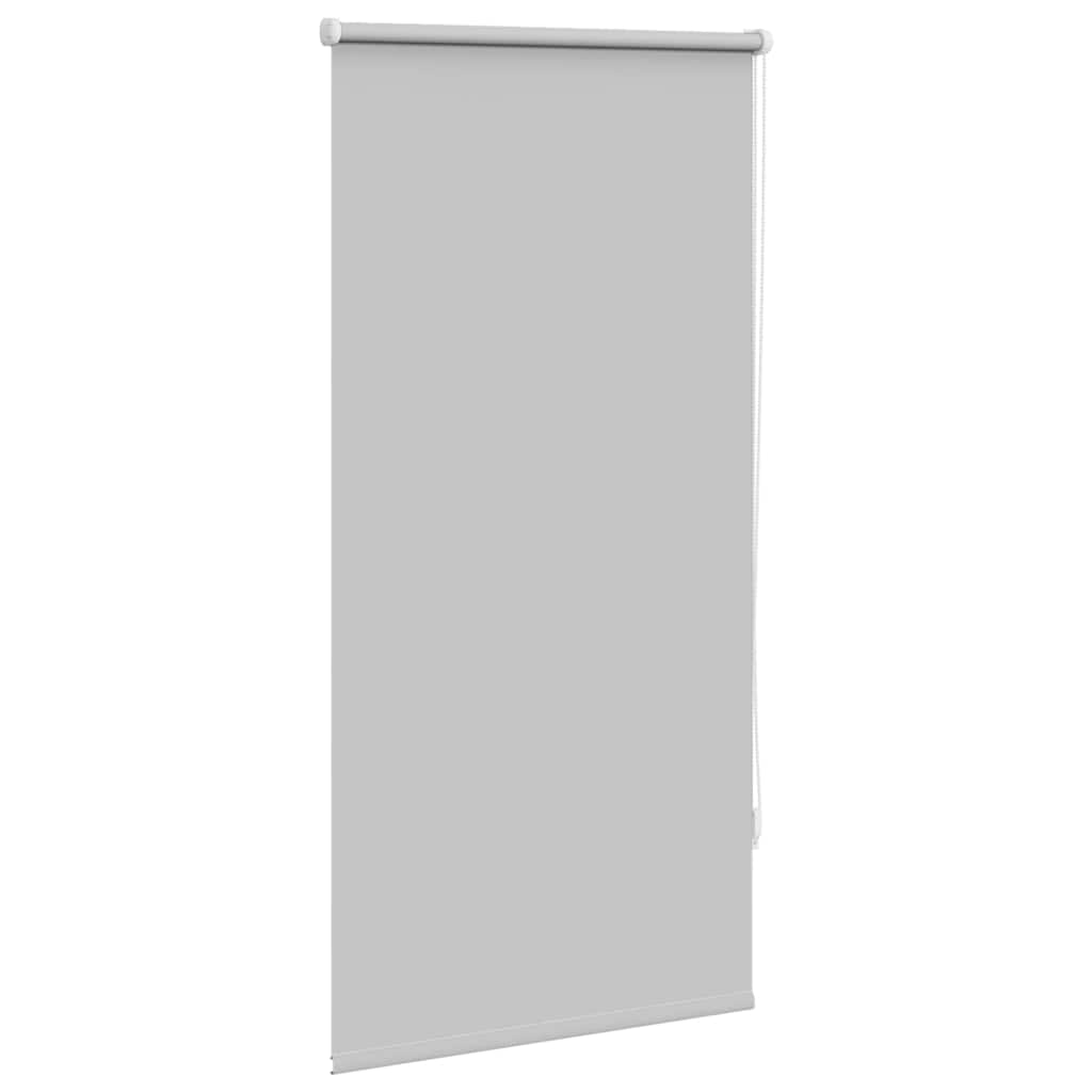 Jaluzea opacă rulabilă, 60 x 120 cm, gri Jaluzea opacă rulabilă, 60 x 120 cm, gri