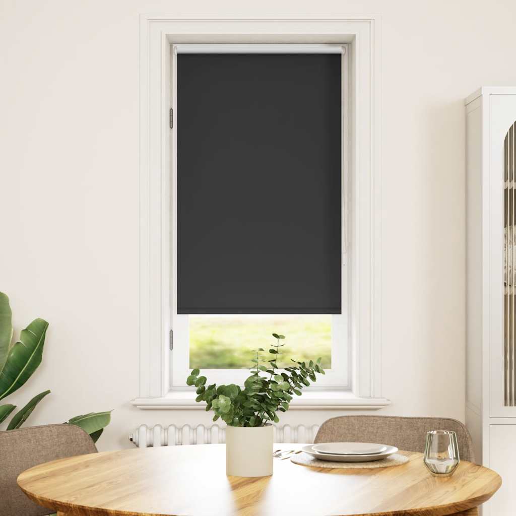 Jaluzea opacă rulabilă, 60 x 120 cm, negru Jaluzea opacă rulabilă, 60 x 120 cm, negru