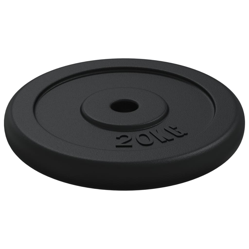 vidaXL Disc de greutate, 40 kg, fontă vidaXL Disc de greutate, 40 kg, fontă