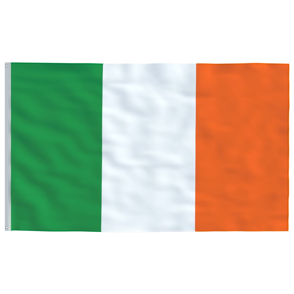 vidaXL Steag Irlanda și stâlp din aluminiu, 5,55 m vidaXL Steag Irlanda și stâlp din aluminiu, 5,55 m