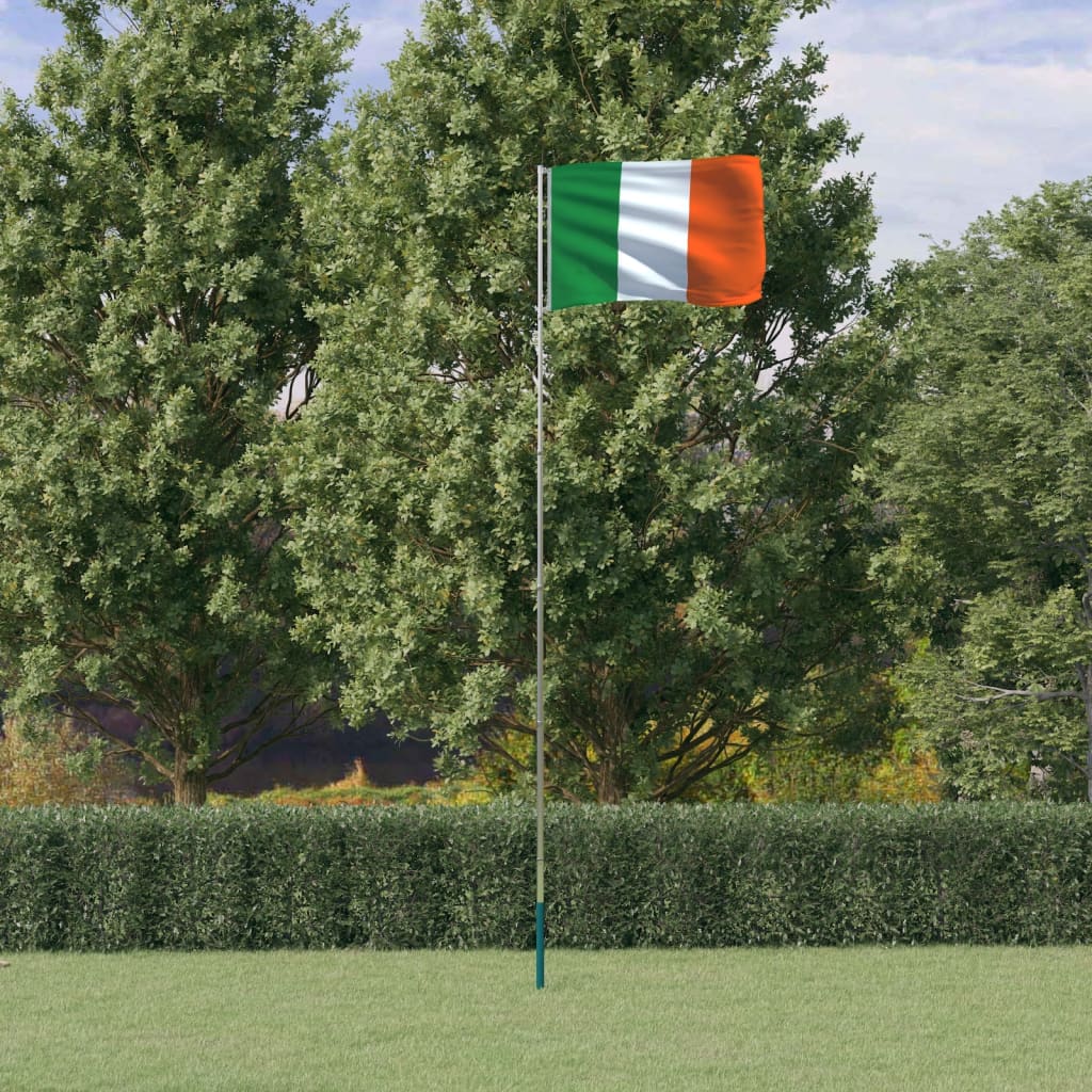 vidaXL Steag Irlanda și stâlp din aluminiu, 5,55 m vidaXL Steag Irlanda și stâlp din aluminiu, 5,55 m