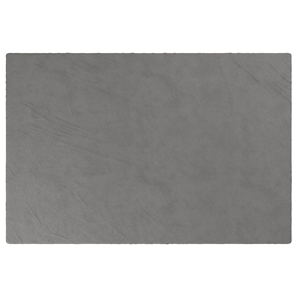 vidaXL Pătură grea cu husă, gri, 122x183 cm, 5 kg, material textil vidaXL Pătură grea cu husă, gri, 122x183 cm, 5 kg, material textil