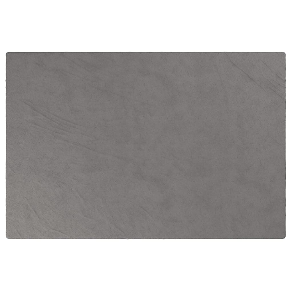 vidaXL Pătură grea cu husă, gri, 122x183 cm, 9 kg, material textil vidaXL Pătură grea cu husă, gri, 122x183 cm, 9 kg, material textil