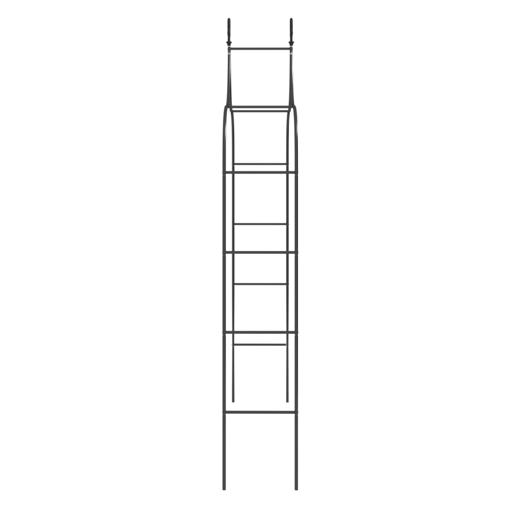 vidaXL Arcade de grădină, 2 buc, negru, 120x38x260 cm, oțel vidaXL Arcade de grădină, 2 buc, negru, 120x38x260 cm, oțel