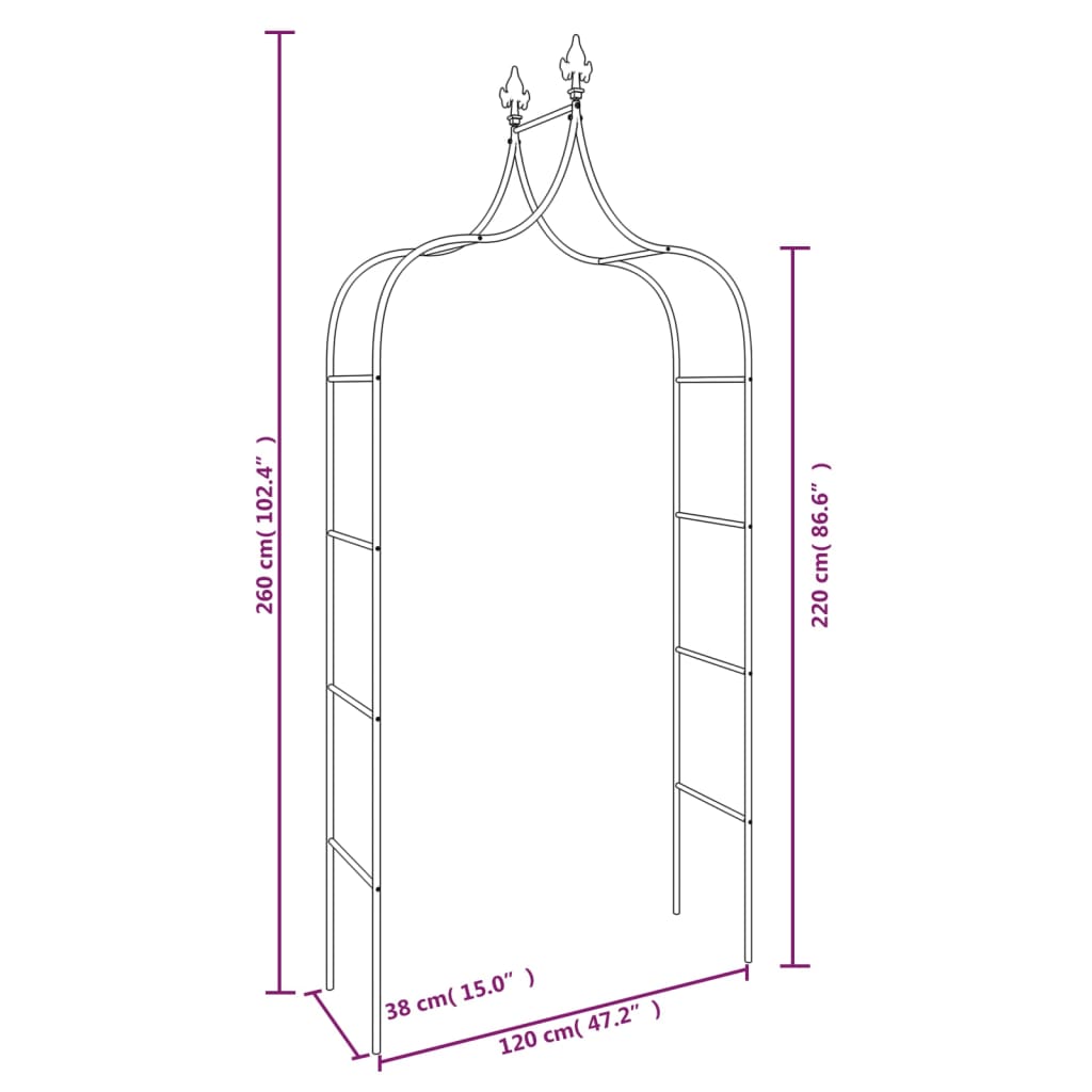 vidaXL Arcade de grădină, 2 buc, negru, 120x38x260 cm, oțel vidaXL Arcade de grădină, 2 buc, negru, 120x38x260 cm, oțel