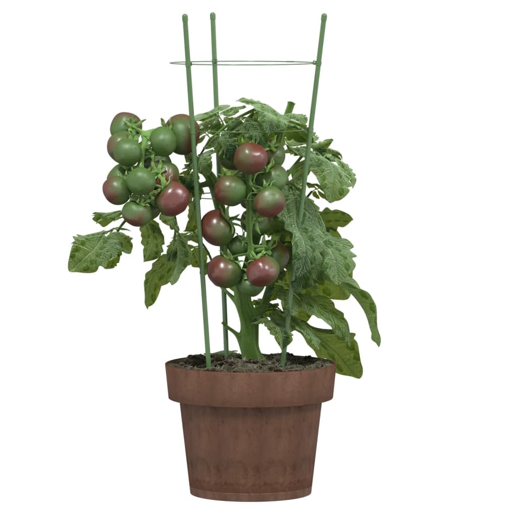 vidaXL Suport plante de grădină cu 3 inele, 5 buc, verde, 45 cm, oțel vidaXL Suport plante de grădină cu 3 inele, 5 buc, verde, 45 cm, oțel