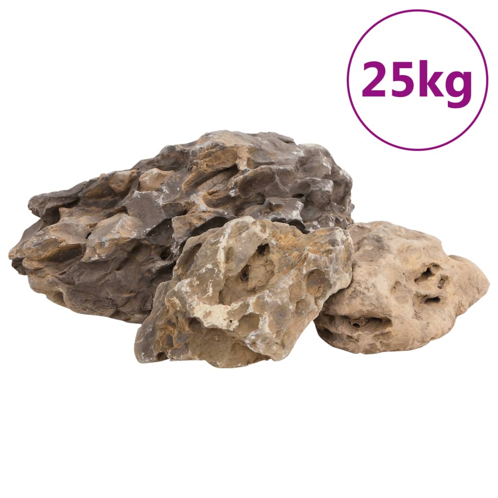 vidaXL Pietre dragon, 25 kg, gri, 10-40 cm vidaXL Pietre dragon, 25 kg, gri, 10-40 cm