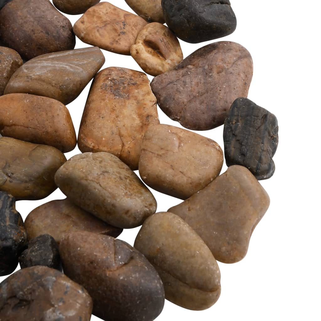 vidaXL Pietricele lustruite, 10 kg, culori mixte, 2-5 cm vidaXL Pietricele lustruite, 10 kg, culori mixte, 2-5 cm
