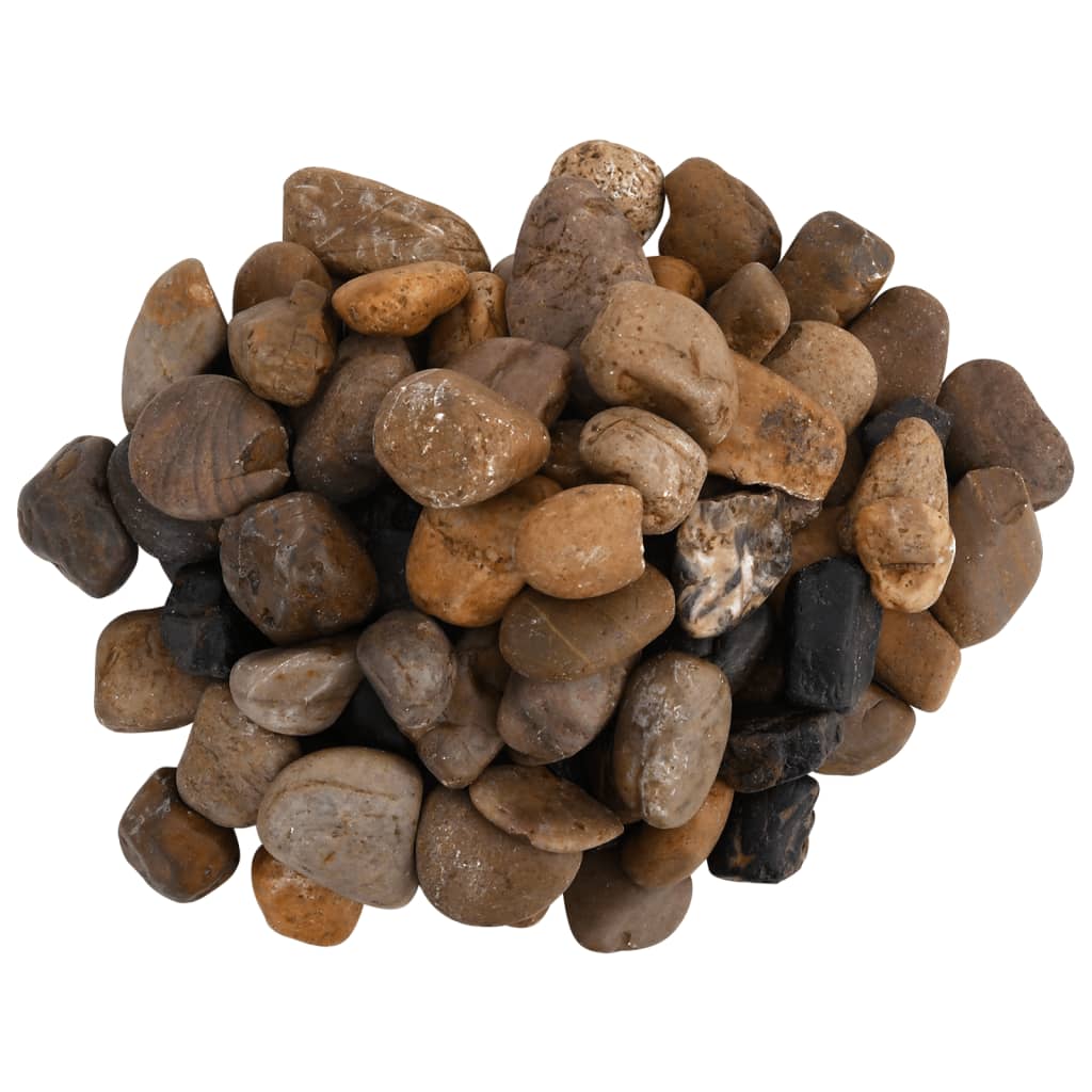 vidaXL Pietricele lustruite, 25 kg, culori mixte, 2-5 cm