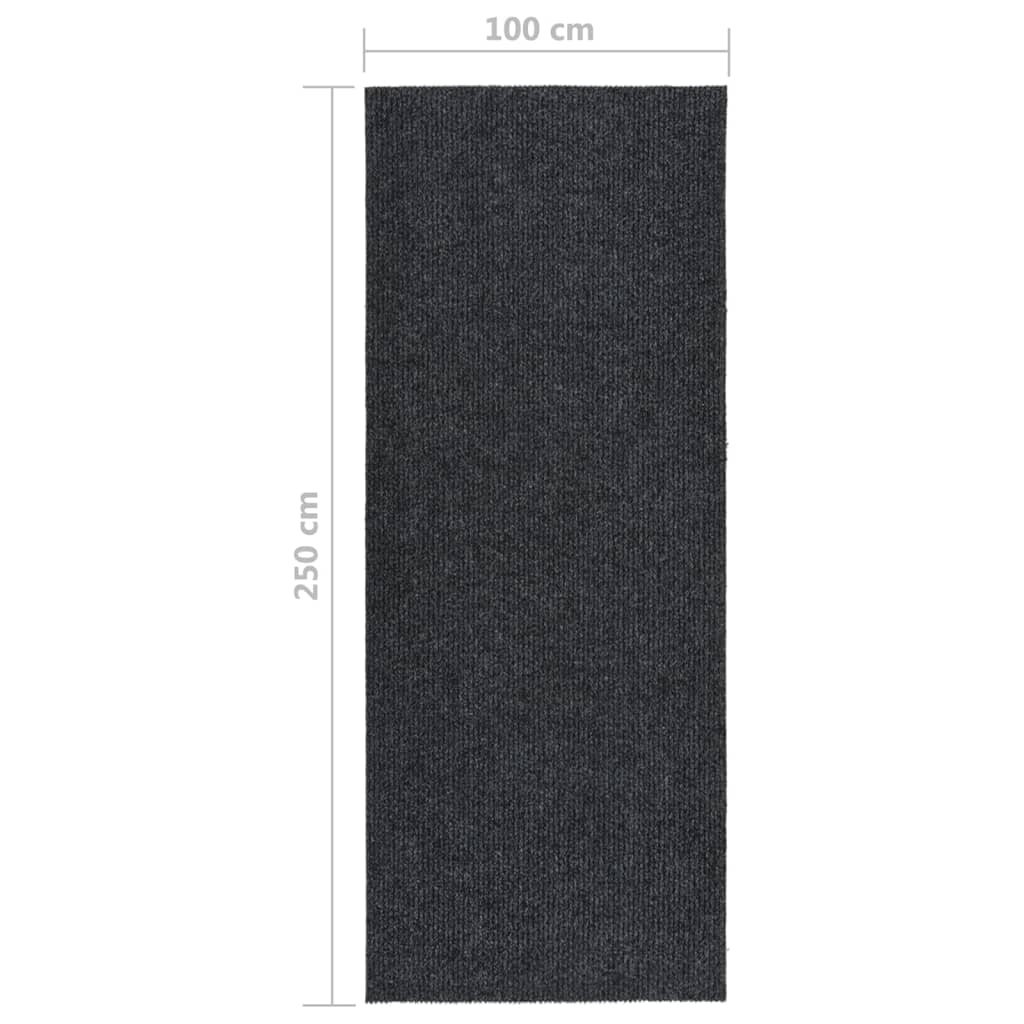 vidaXL Covor traversă de captare a murdăriei, antracit, 100x250 cm vidaXL Covor traversă de captare a murdăriei, antracit, 100x250 cm