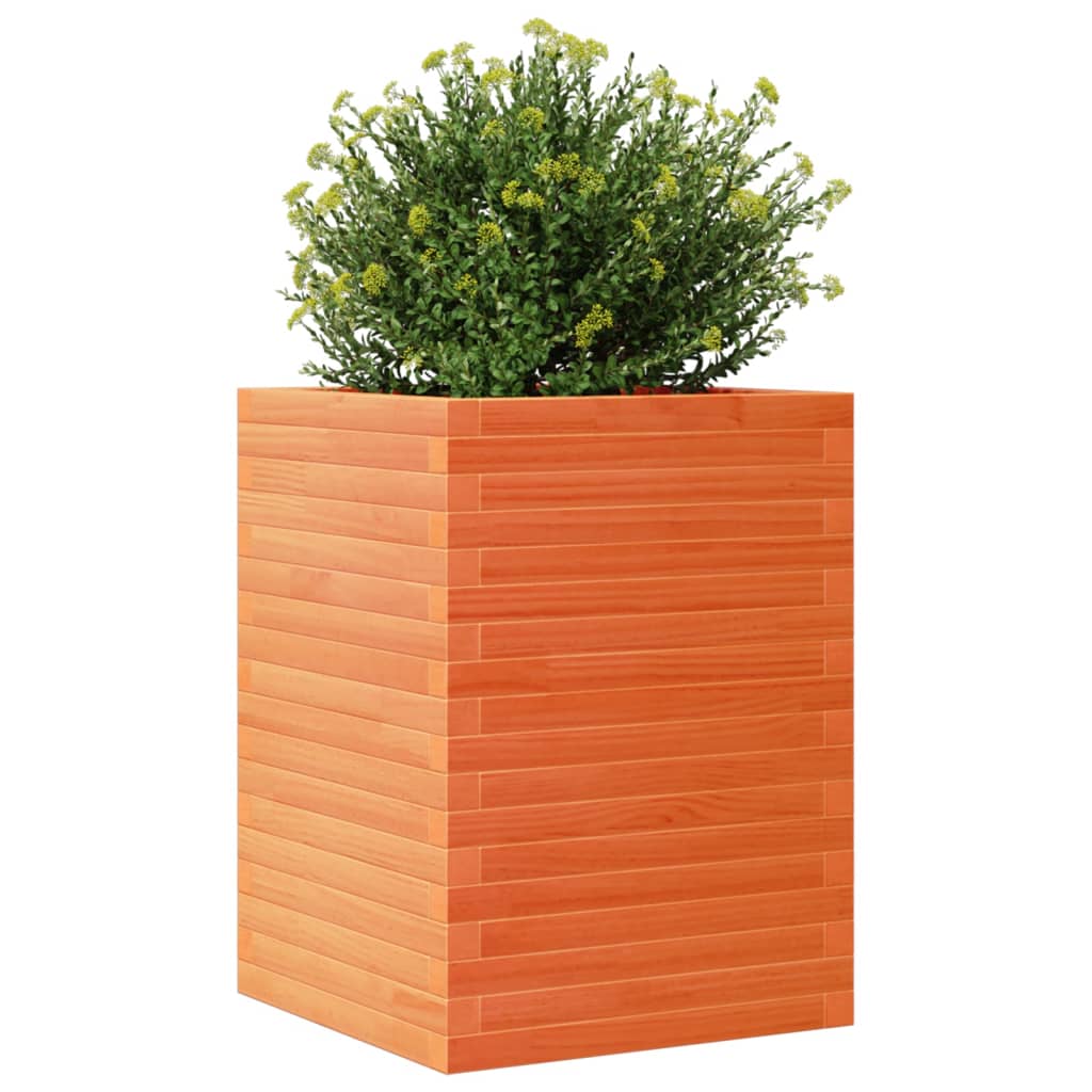 vidaXL Jardinieră grădină, maro ceruit, 50x50x68,5 cm, lemn masiv pin vidaXL Jardinieră grădină, maro ceruit, 50x50x68,5 cm, lemn masiv pin