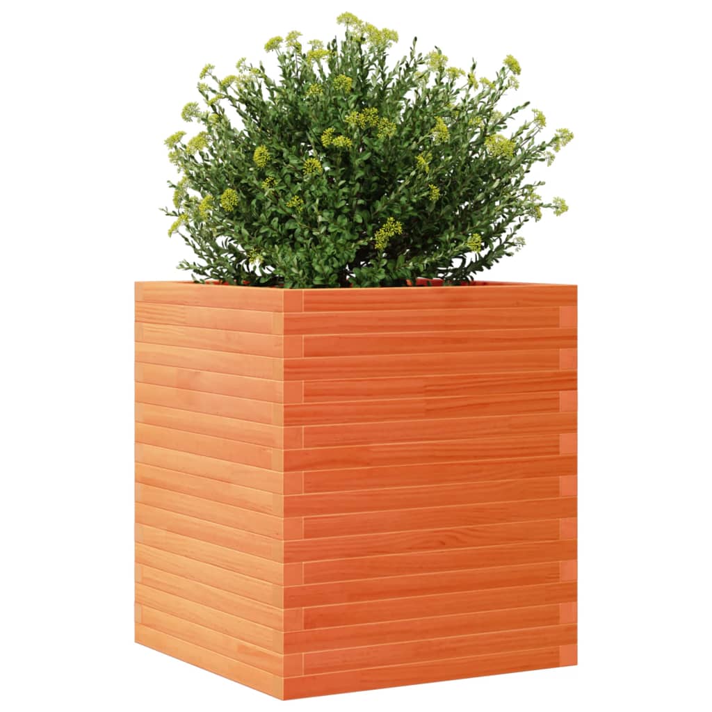 vidaXL Jardinieră grădină, maro ceruit, 60x60x68,5 cm, lemn masiv pin vidaXL Jardinieră grădină, maro ceruit, 60x60x68,5 cm, lemn masiv pin