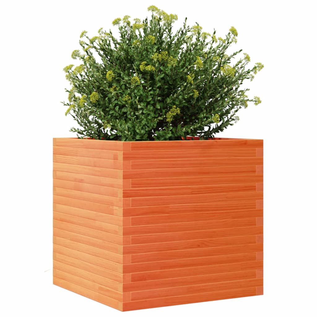 vidaXL Jardinieră grădină, maro ceruit, 70x70x68,5 cm, lemn masiv pin vidaXL Jardinieră grădină, maro ceruit, 70x70x68,5 cm, lemn masiv pin