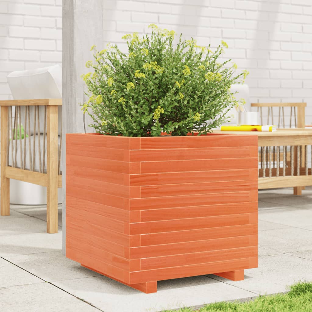vidaXL Jardinieră grădină, maro ceruit, 50x50x49,5 cm, lemn masiv pin vidaXL Jardinieră grădină, maro ceruit, 50x50x49,5 cm, lemn masiv pin