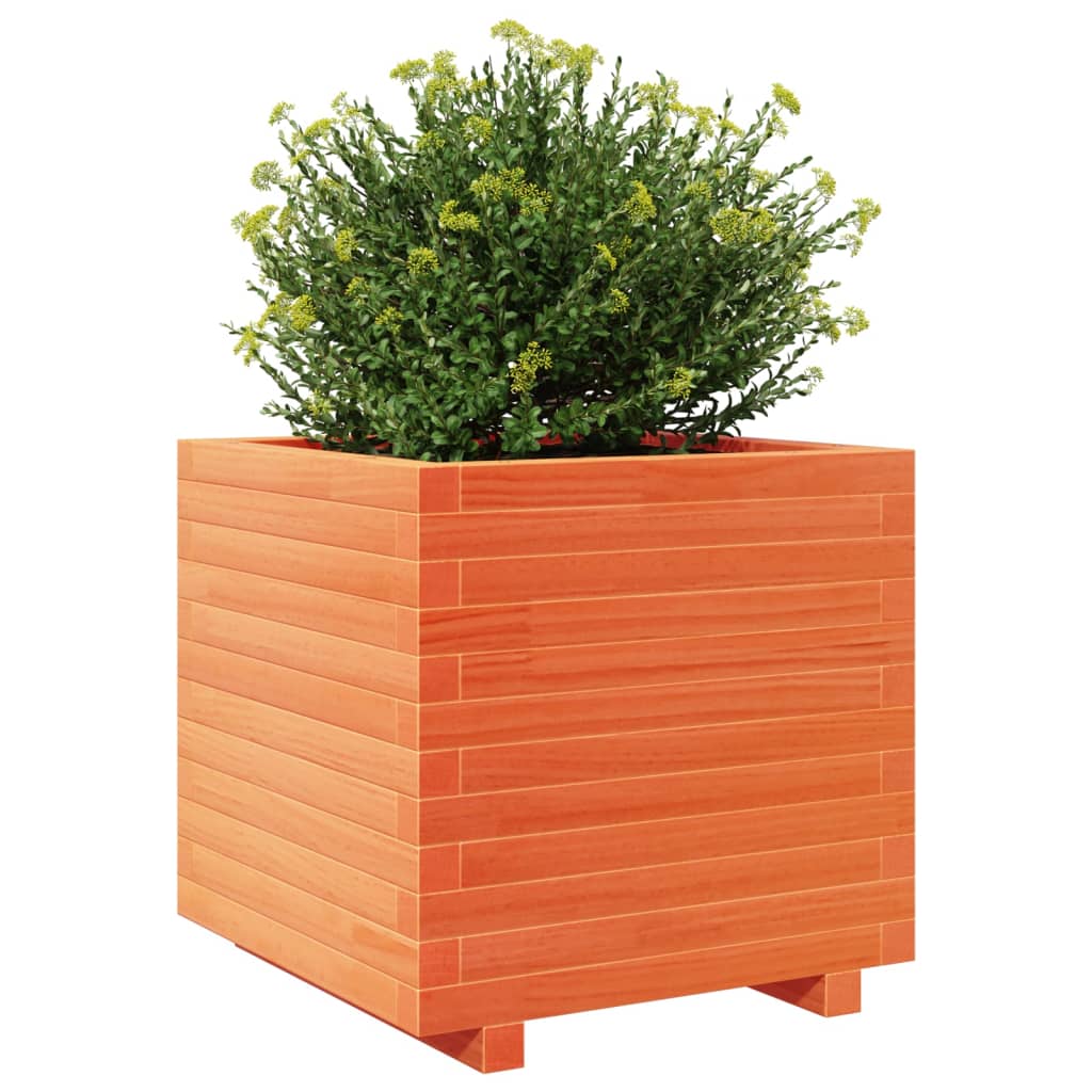 vidaXL Jardinieră grădină, maro ceruit, 50x50x49,5 cm, lemn masiv pin vidaXL Jardinieră grădină, maro ceruit, 50x50x49,5 cm, lemn masiv pin