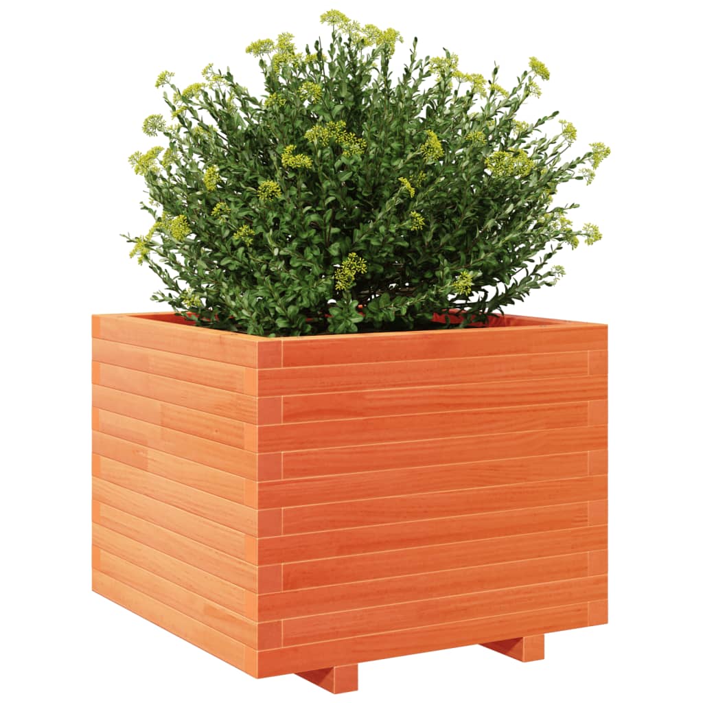 vidaXL Jardinieră grădină, maro ceruit, 60x60x49,5 cm, lemn masiv pin vidaXL Jardinieră grădină, maro ceruit, 60x60x49,5 cm, lemn masiv pin