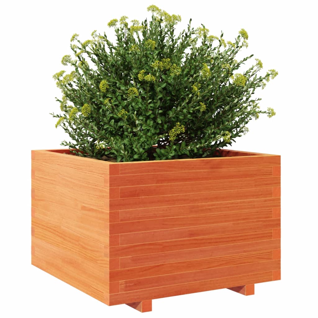 vidaXL Jardinieră grădină, maro ceruit, 70x70x49,5 cm, lemn masiv pin vidaXL Jardinieră grădină, maro ceruit, 70x70x49,5 cm, lemn masiv pin
