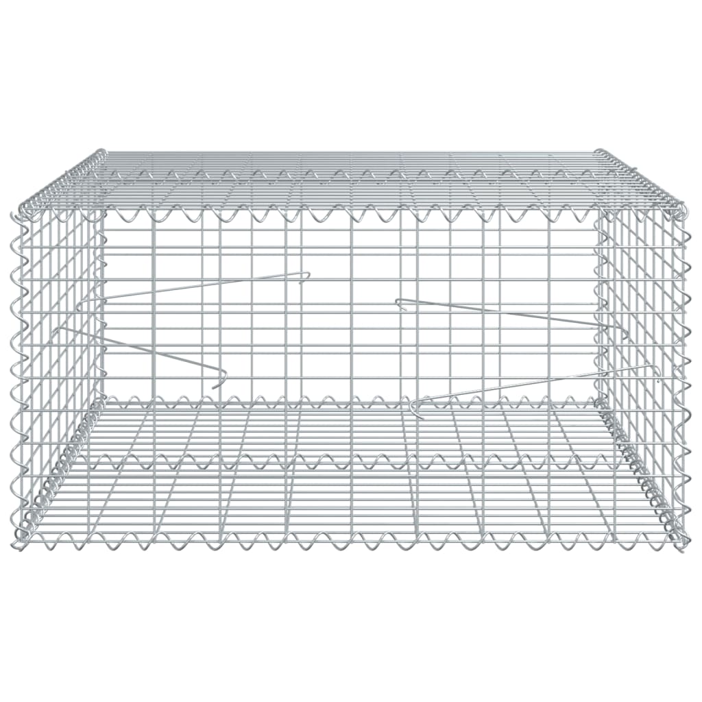 vidaXL Coș gabion cu capac, 100x100x50 cm, fier galvanizat vidaXL Coș gabion cu capac, 100x100x50 cm, fier galvanizat