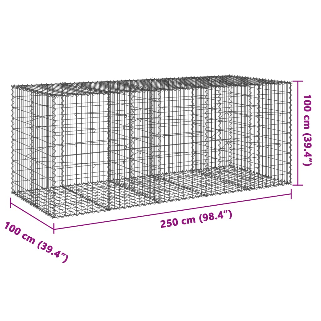 vidaXL Coș gabion cu capac, 250x100x100 cm, fier galvanizat vidaXL Coș gabion cu capac, 250x100x100 cm, fier galvanizat