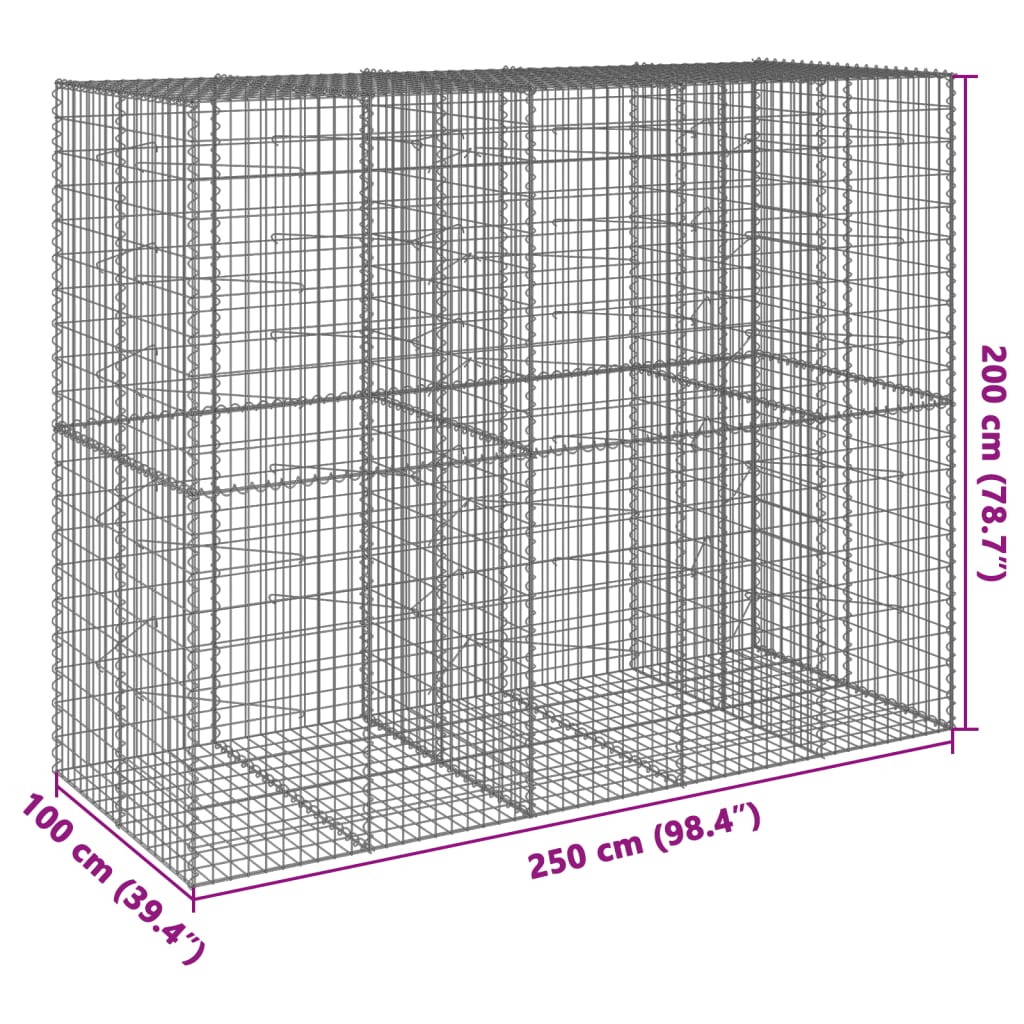 vidaXL Coș gabion cu capac, 250x100x200 cm, fier galvanizat vidaXL Coș gabion cu capac, 250x100x200 cm, fier galvanizat
