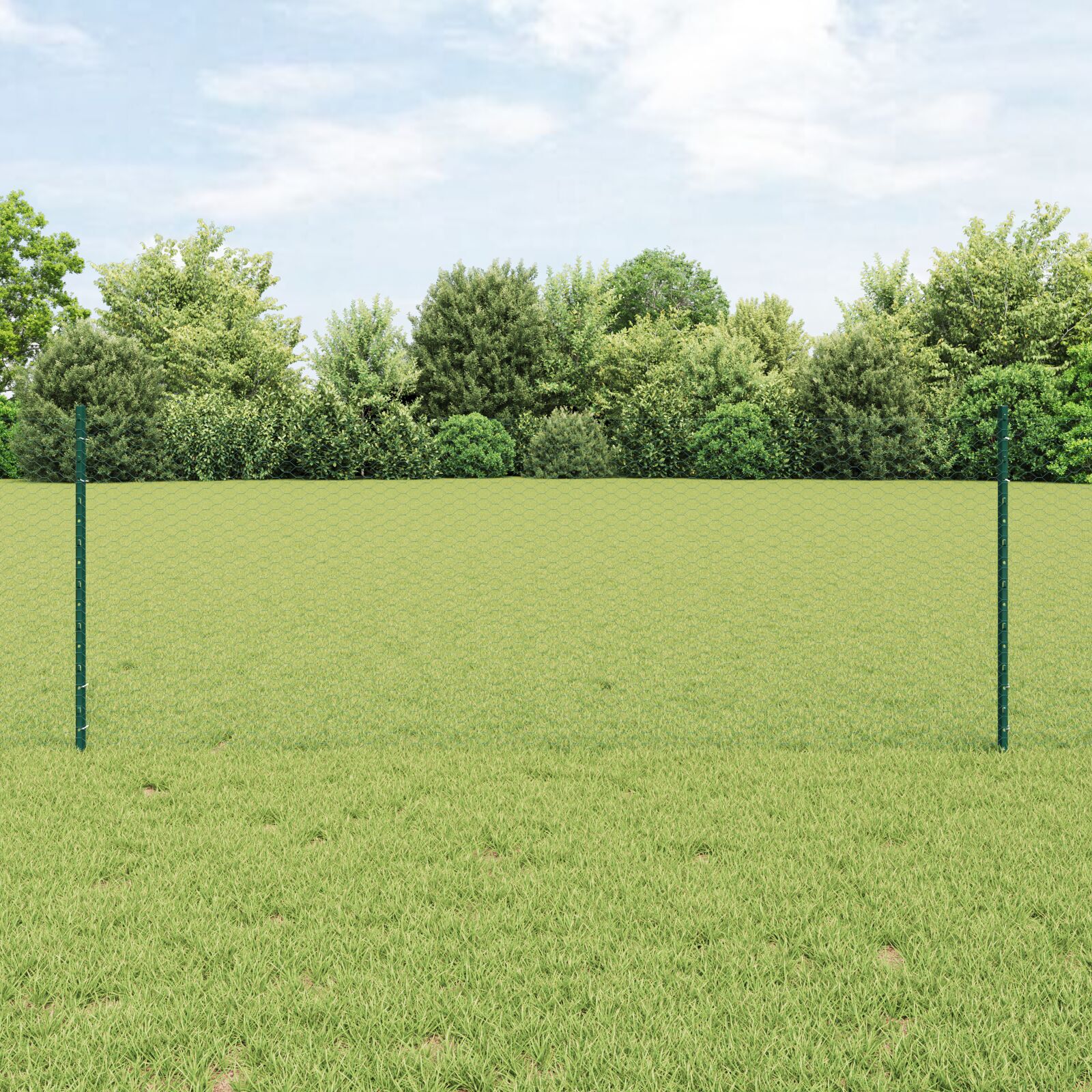 vidaXL Îngrădire cu stâlpi Verde 0.8 x 25 m Oțel vidaXL Îngrădire cu stâlpi Verde 0.8 x 25 m Oțel