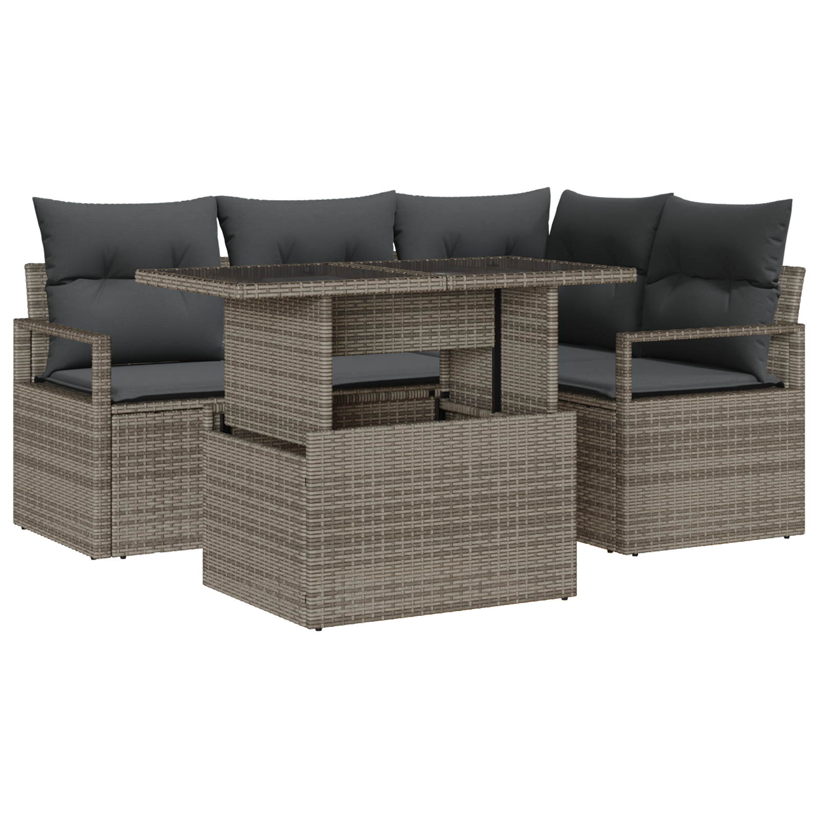 vidaXL Set de canapele pentru grădină 5 pcs Gri 100 x 55 x 73 cm