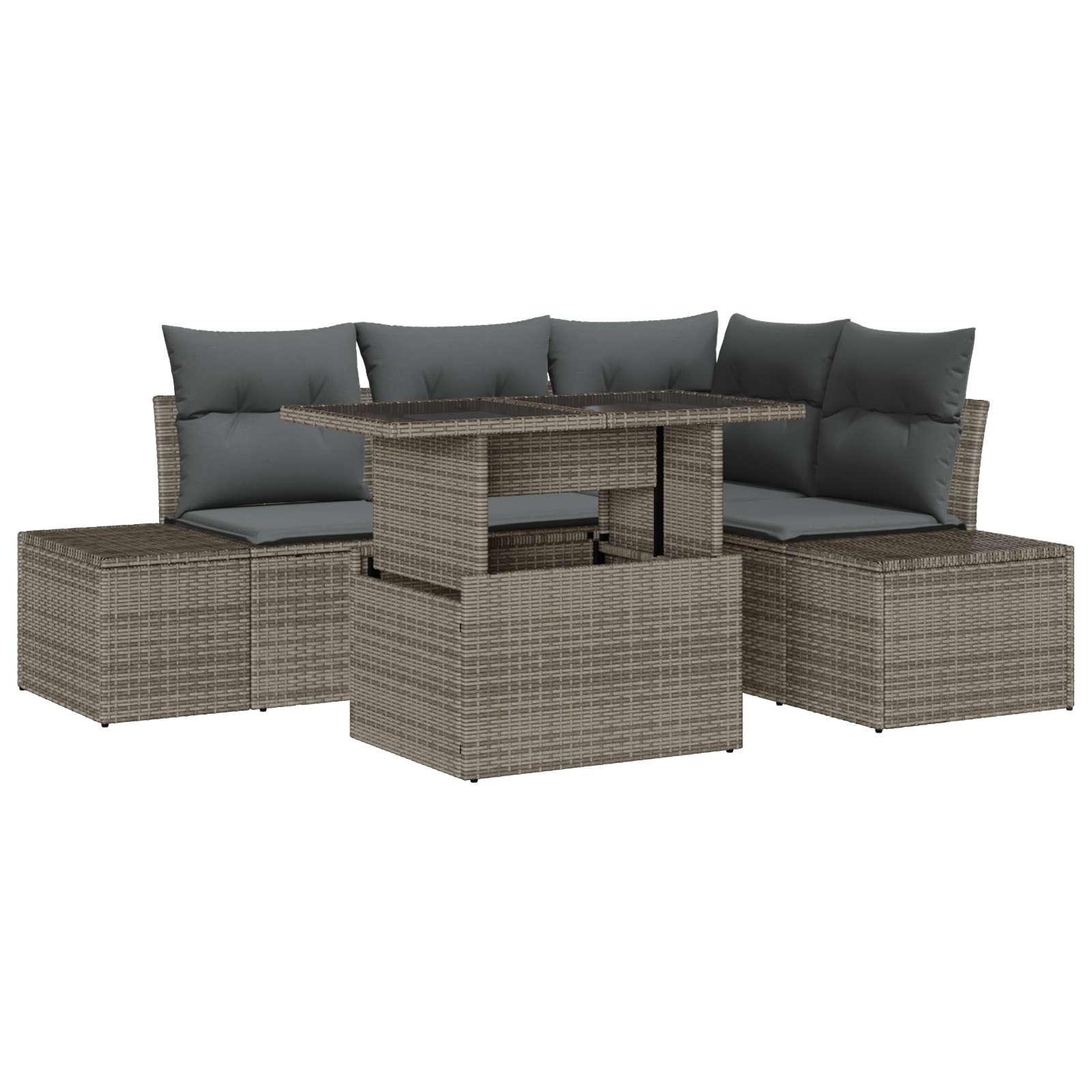 vidaXL Set de canapele pentru grădină 5 pcs Gri 100 x 55 x 73 cm