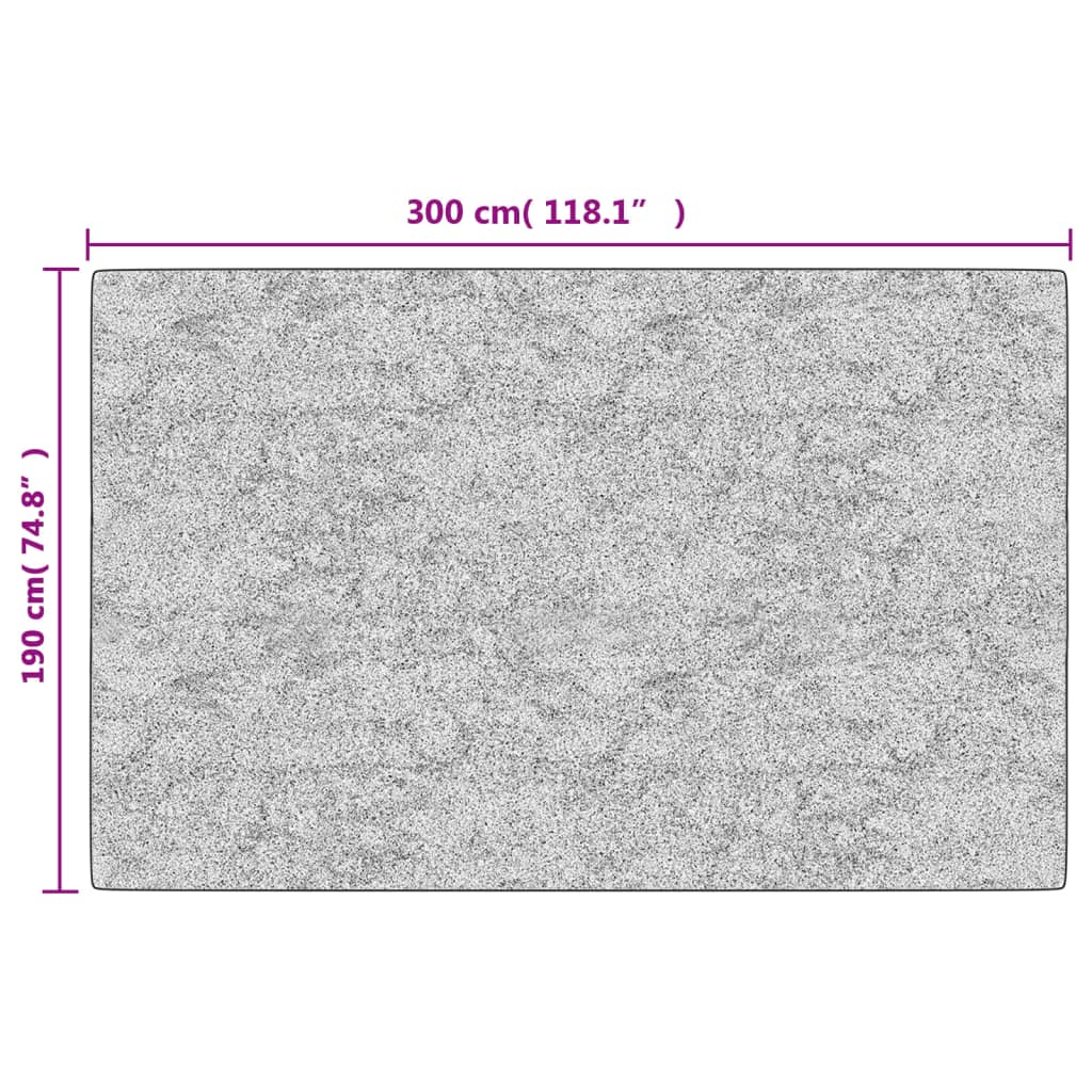 vidaXL Covor lavabil, bej, 190x300 cm, antiderapant