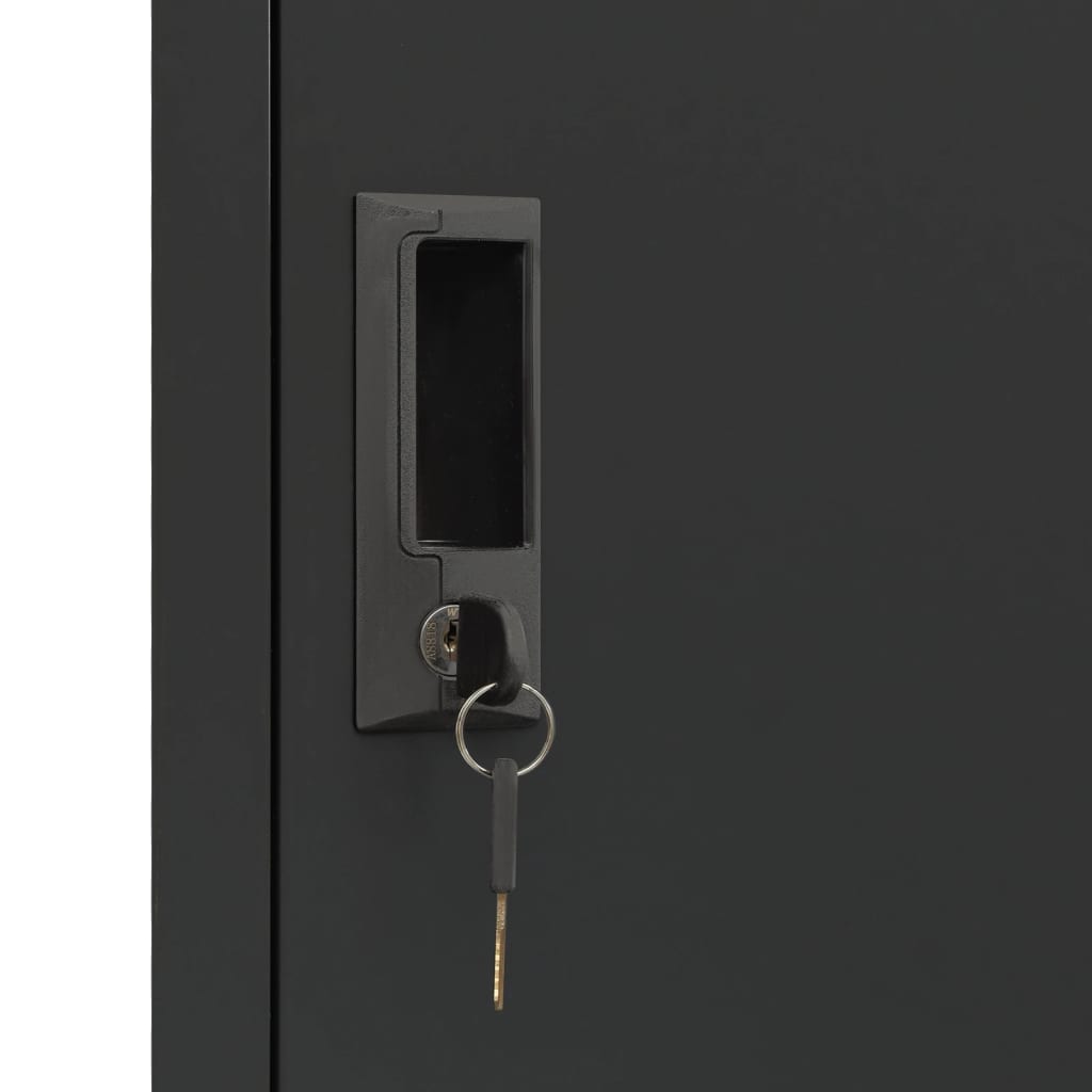 vidaXL Fișet, antracit, 38x40x180 cm, oțel