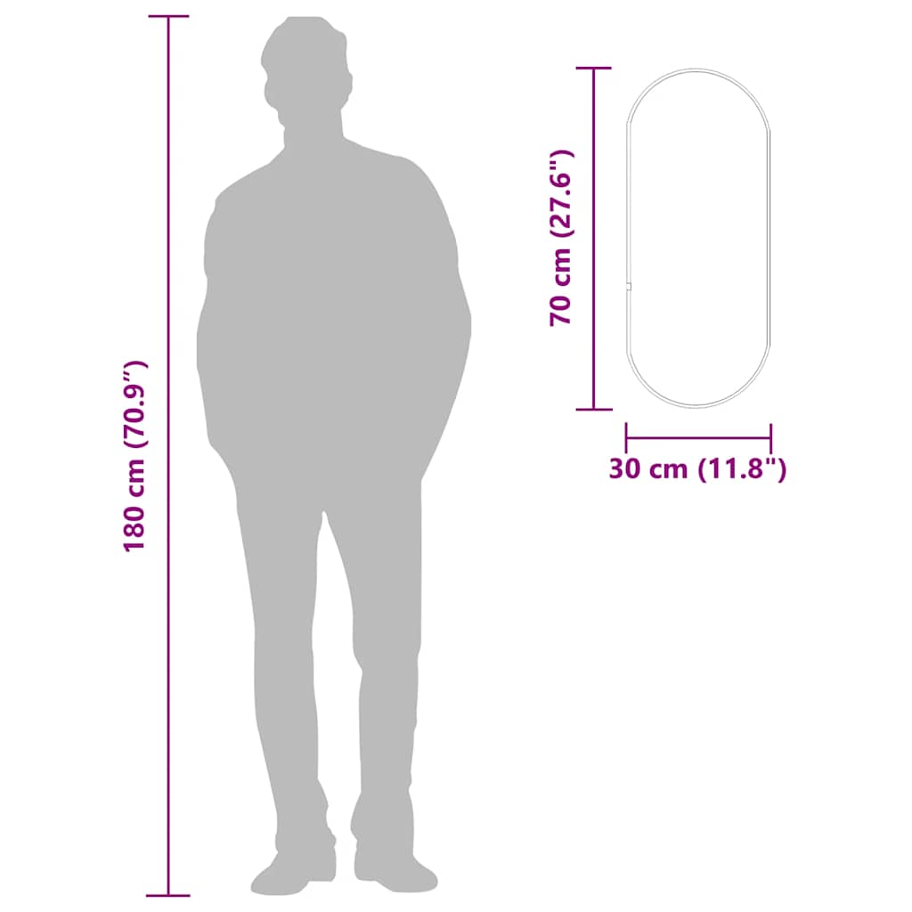 vidaXL Oglindă de perete, negru, 70x30 cm, ovală