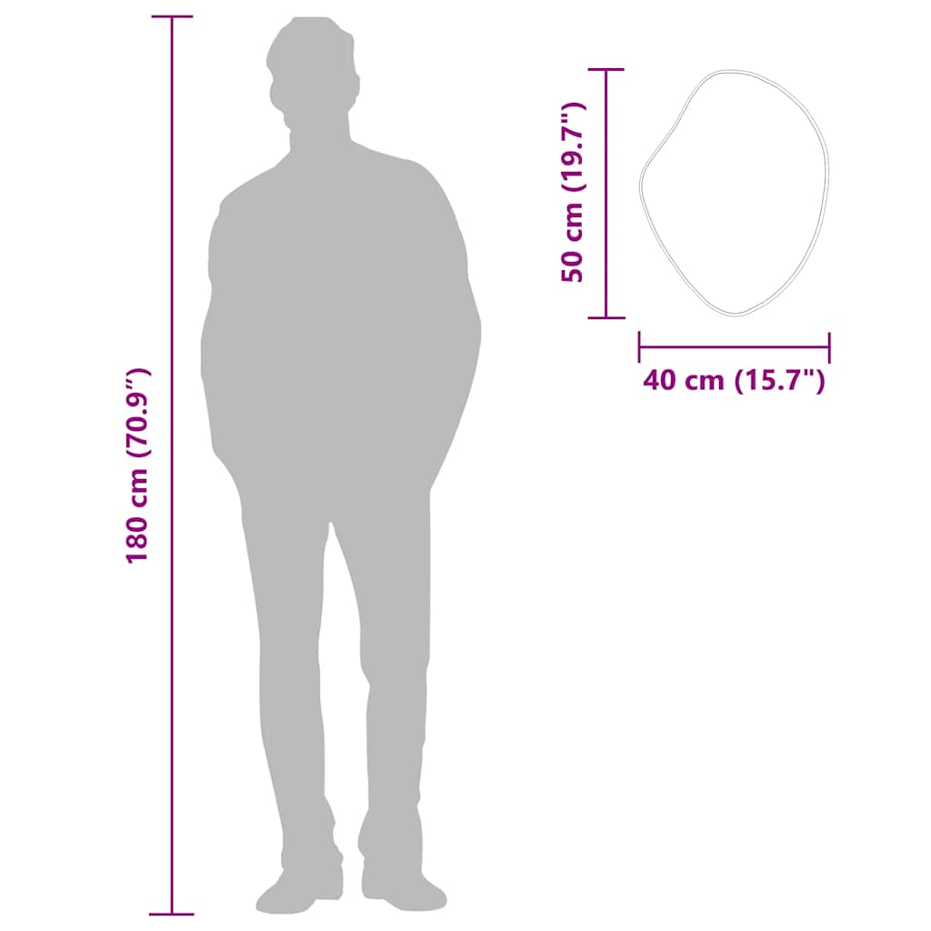 vidaXL Oglindă de perete, argintiu, 50x40 cm