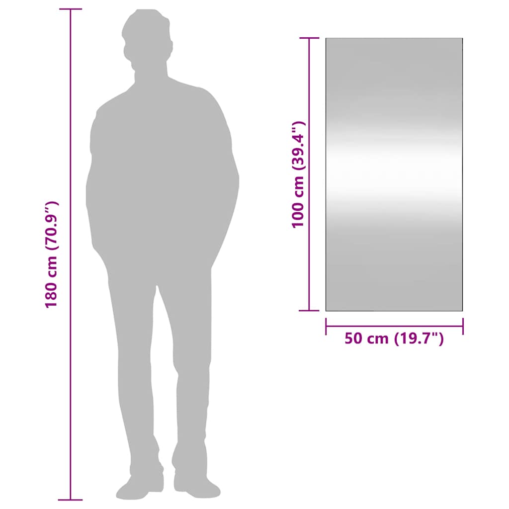 vidaXL Oglindă de perete, 50x100 cm, dreptunghiular, sticlă