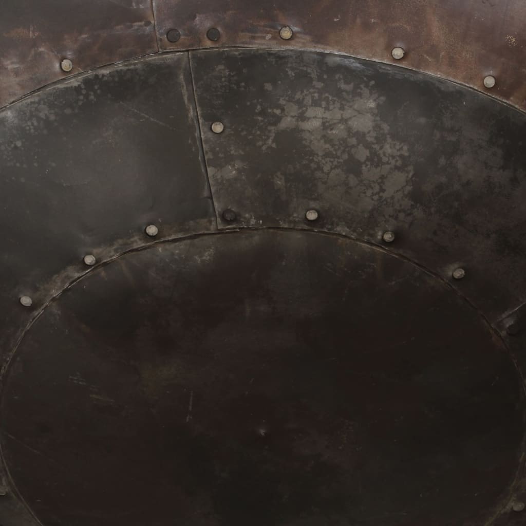vidaXL Vatră de foc, 55x55x38 cm, fier vidaXL Vatră de foc, 55x55x38 cm, fier
