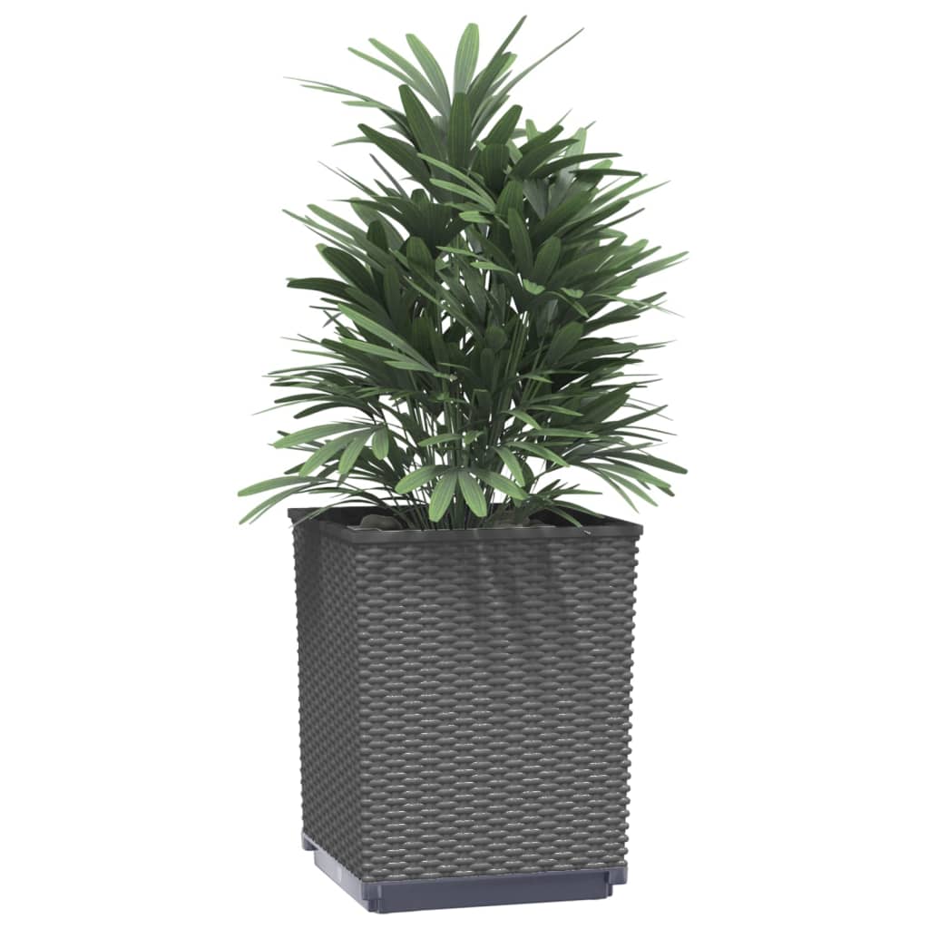 vidaXL Jardiniere, 4 buc., negru, 30x30x37 cm, polipropilenă