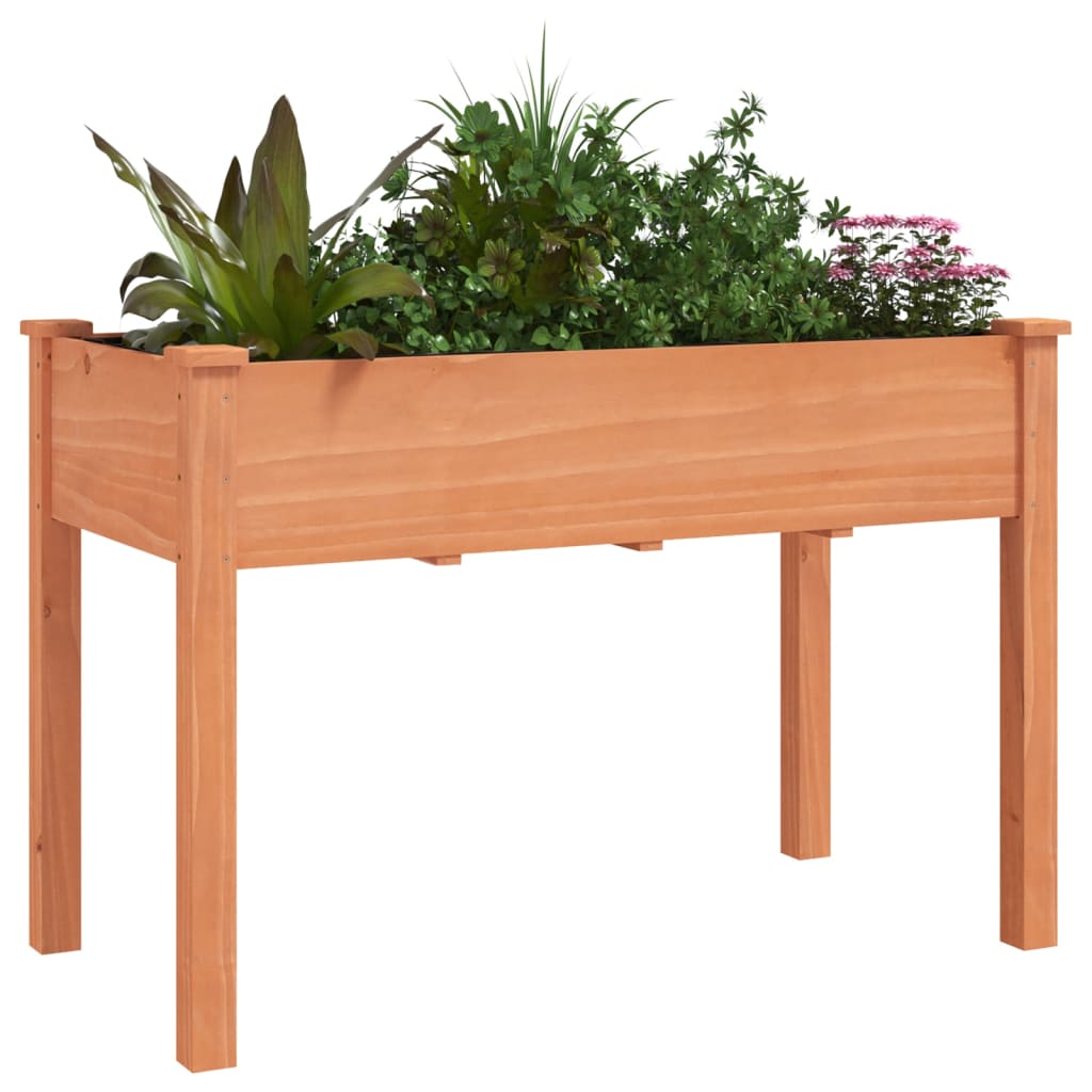 vidaXL Jardinieră cu căptușeală, maro, 118x59x76 cm, lemn masiv brad