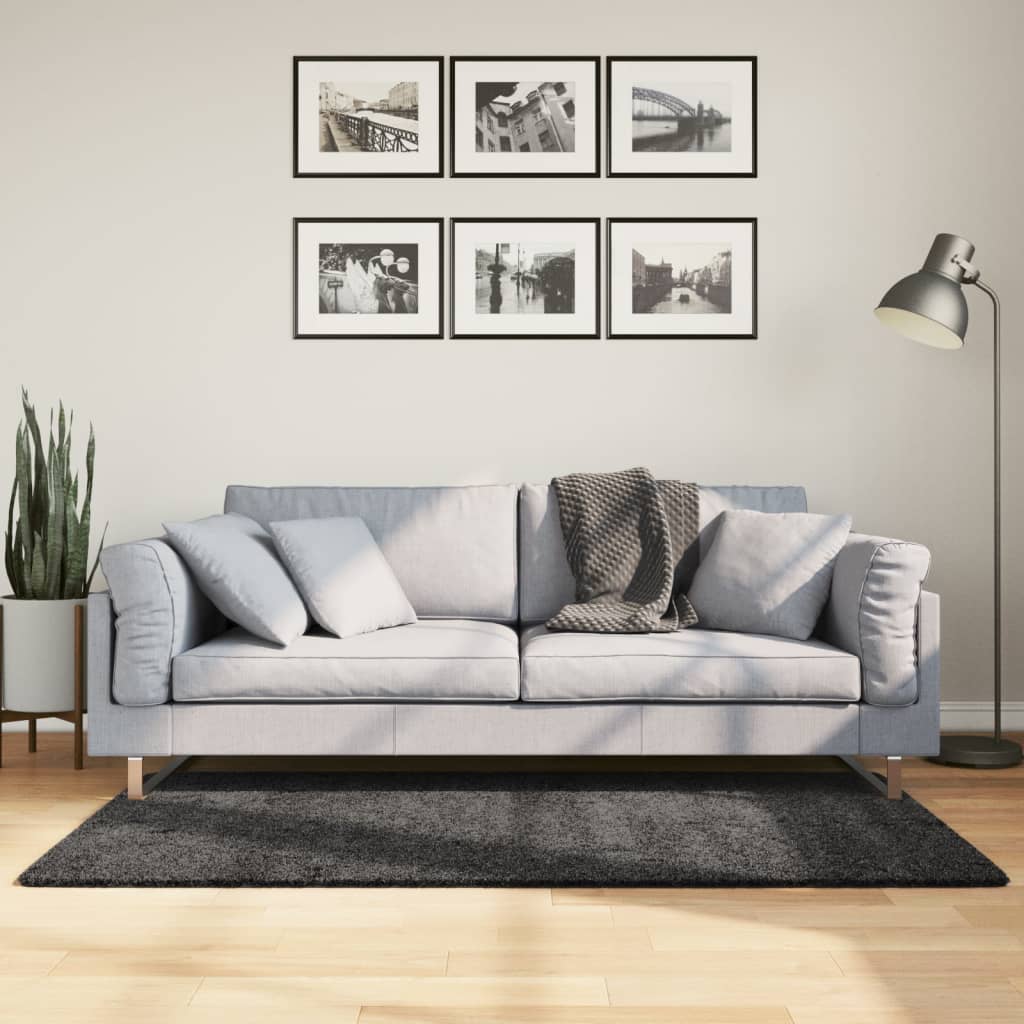 vidaXL Covor pufos "PAMPLONA" fire înalte antracit modern 120x170 cm vidaXL Covor pufos "PAMPLONA" fire înalte antracit modern 120x170 cm
