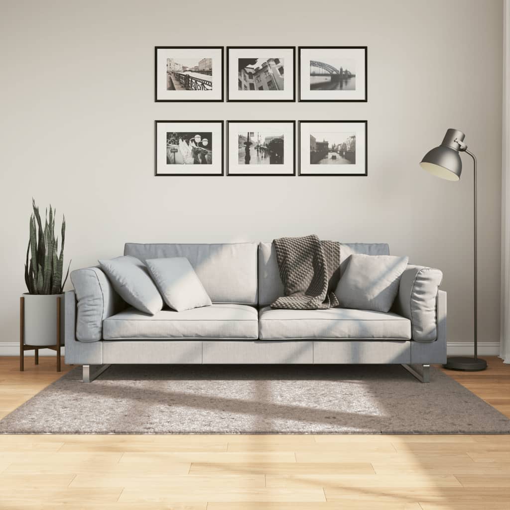 vidaXL Covor pufos "PAMPLONA" cu fire înalte, bej modern, 120x170 cm