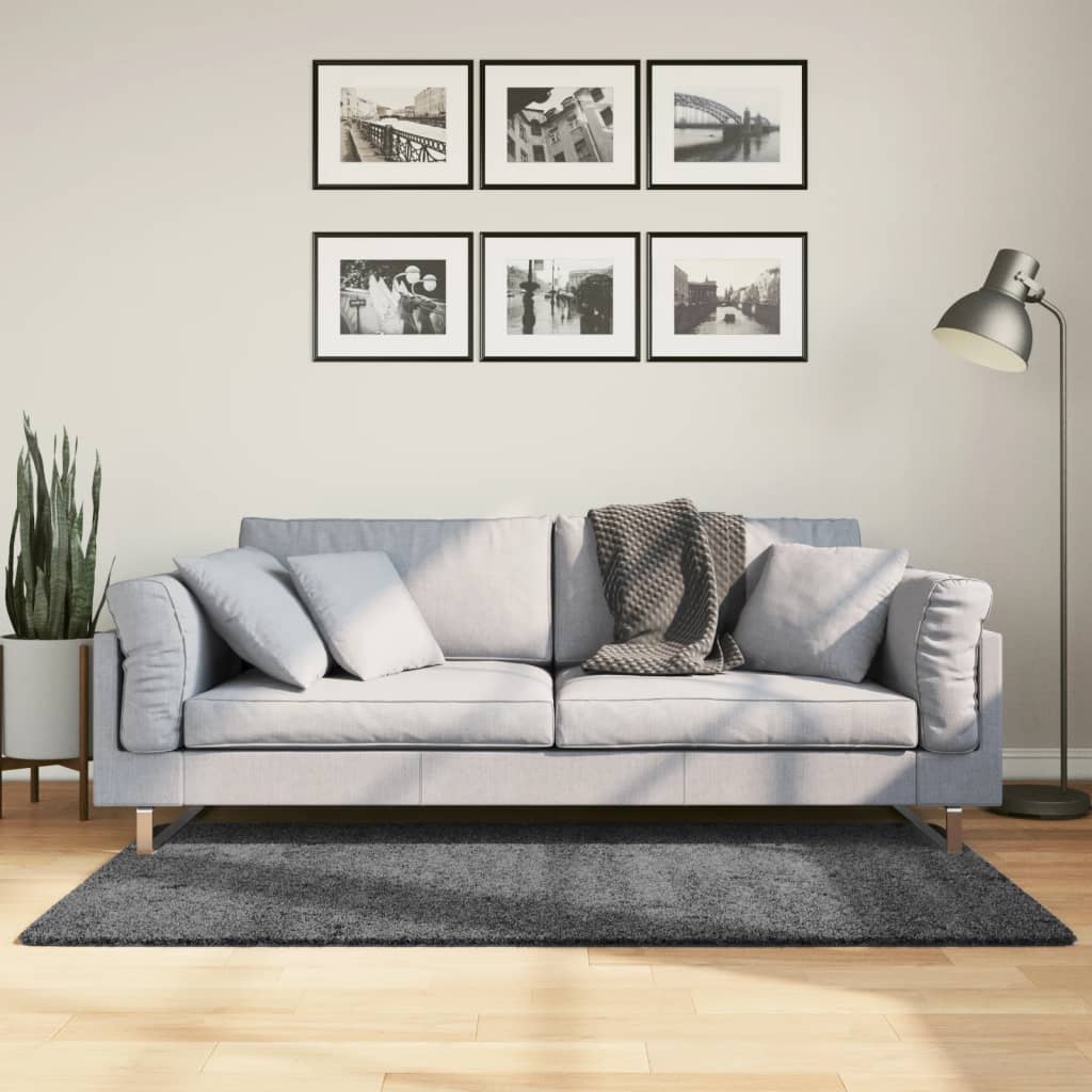 vidaXL Covor „OVIEDO”, fire scurte, antracit, 80x150 cm vidaXL Covor „OVIEDO”, fire scurte, antracit, 80x150 cm